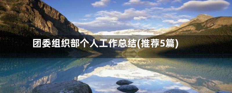 团委组织部个人工作总结(推荐5篇)