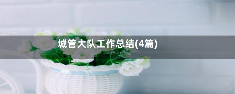 城管大队工作总结(4篇)