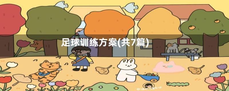 足球训练方案(共7篇)