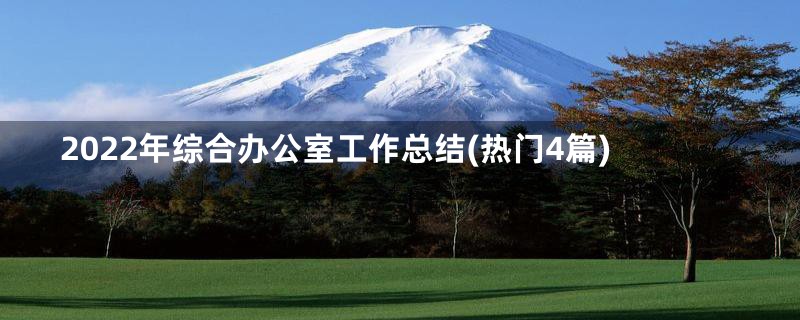 2022年综合办公室工作总结(热门4篇)