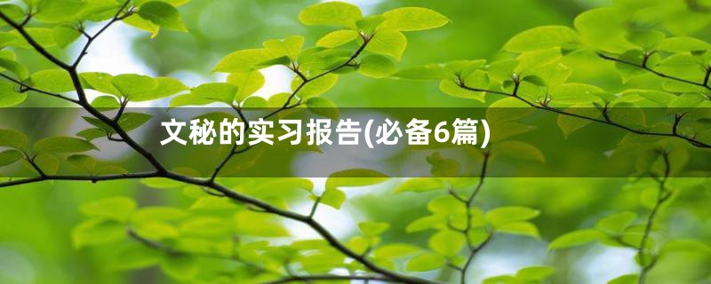 文秘的实习报告(必备6篇)
