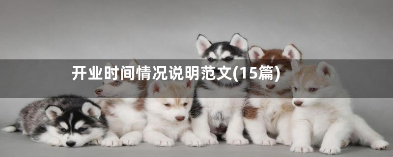 开业时间情况说明范文(15篇)