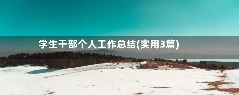 学生干部个人工作总结(实用3篇)