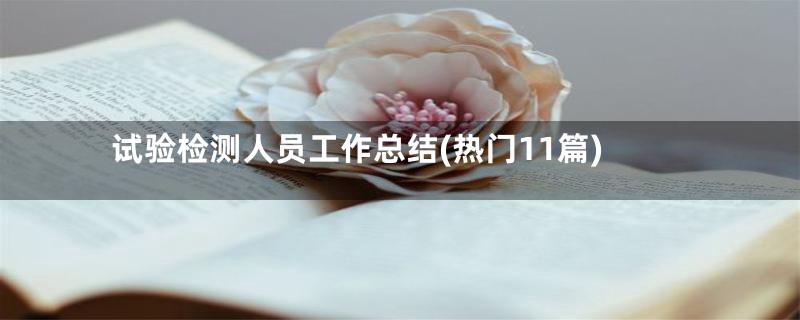 试验检测人员工作总结(热门11篇)