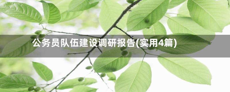 公务员队伍建设调研报告(实用4篇)