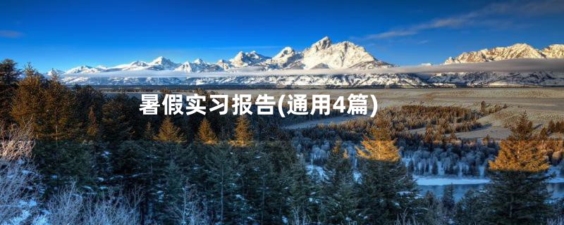 暑假实习报告(通用4篇)