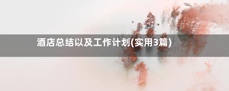 酒店总结以及工作计划(实用3篇)