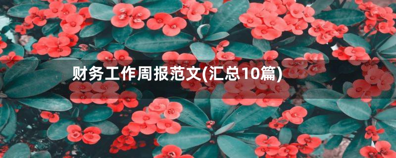 财务工作周报范文(汇总10篇)