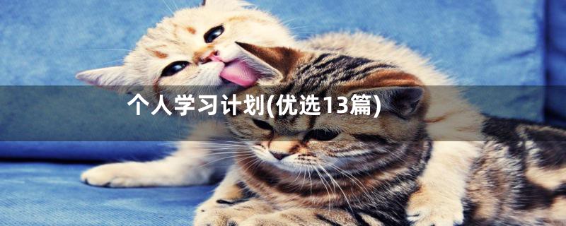 个人学习计划(优选13篇)
