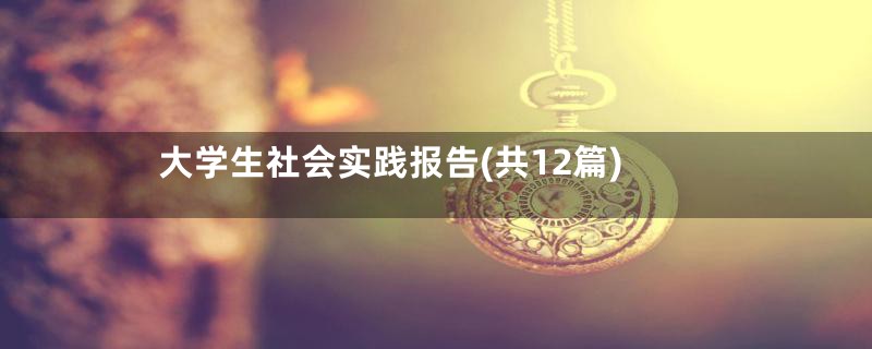 大学生社会实践报告(共12篇)