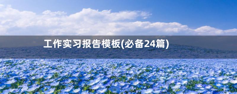 工作实习报告模板(必备24篇)