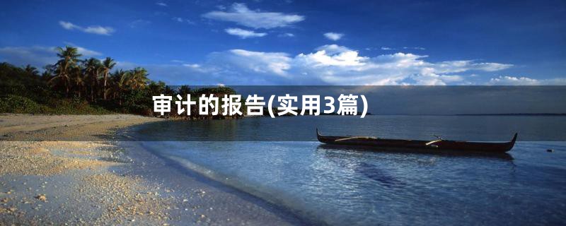 审计的报告(实用3篇)
