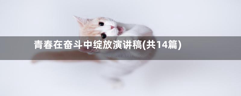 青春在奋斗中绽放演讲稿(共14篇)