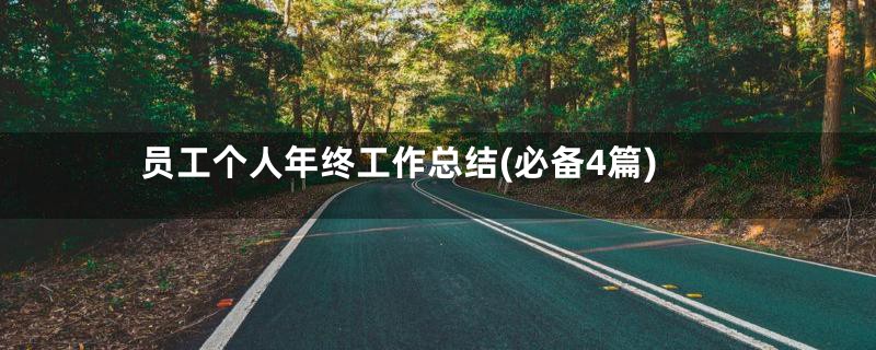 员工个人年终工作总结(必备4篇)