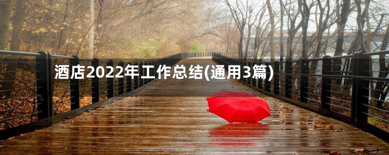 酒店2022年工作总结(通用3篇)