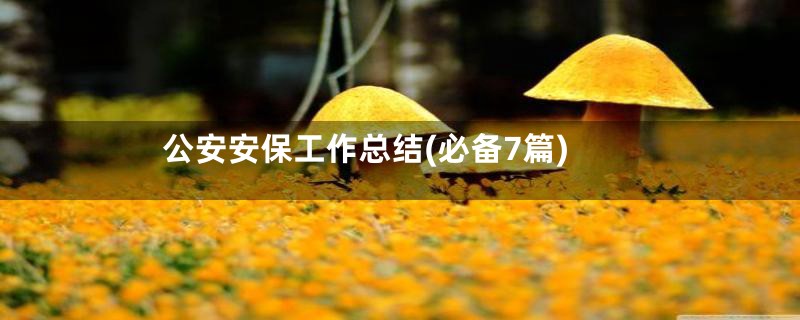 公安安保工作总结(必备7篇)