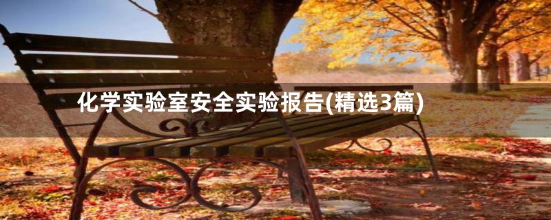 化学实验室安全实验报告(精选3篇)