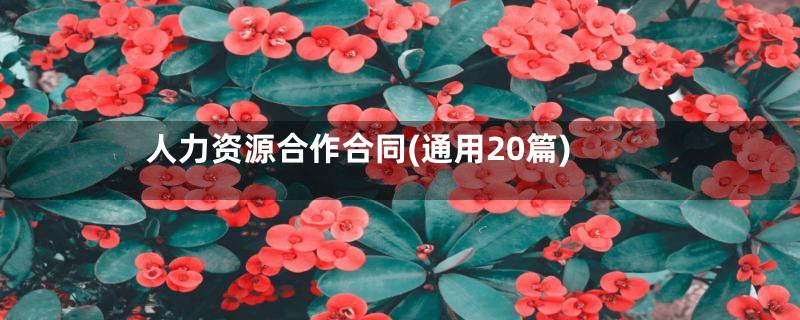 人力资源合作合同(通用20篇)