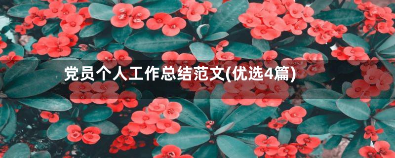 党员个人工作总结范文(优选4篇)