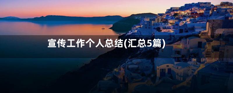 宣传工作个人总结(汇总5篇)