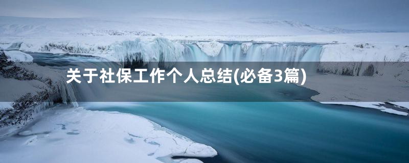 关于社保工作个人总结(必备3篇)
