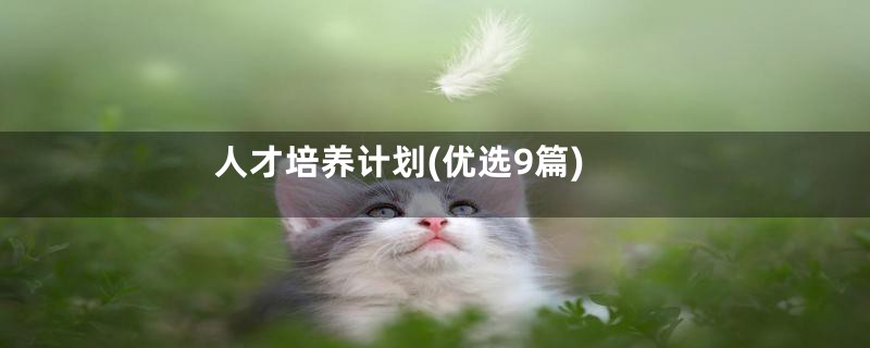 人才培养计划(优选9篇)