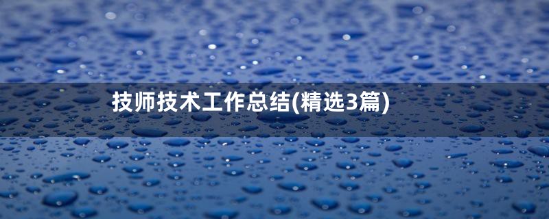 技师技术工作总结(精选3篇)