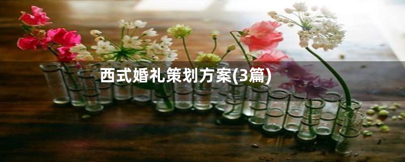 西式婚礼策划方案(3篇)