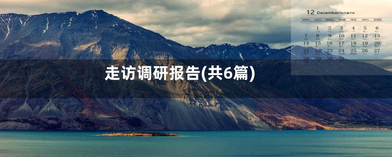 走访调研报告(共6篇)