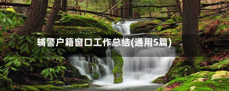 辅警户籍窗口工作总结(通用5篇)