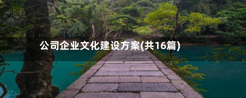 公司企业文化建设方案(共16篇)
