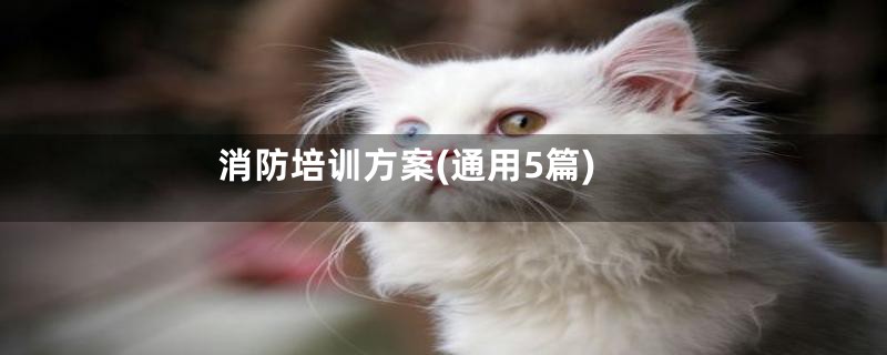 消防培训方案(通用5篇)