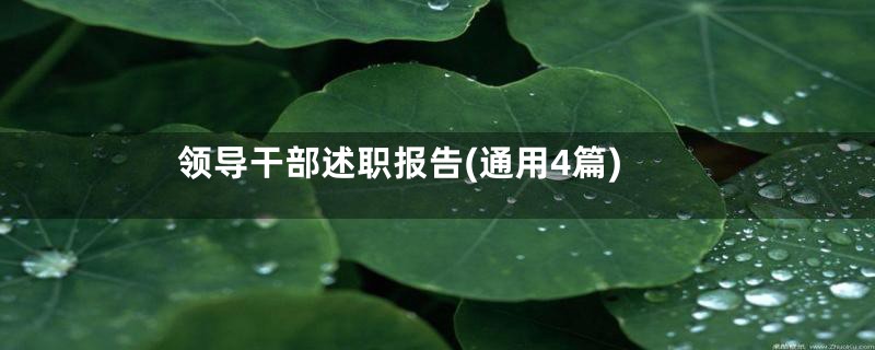 领导干部述职报告(通用4篇)