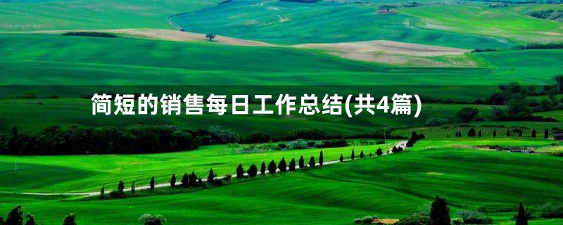 简短的销售每日工作总结(共4篇)