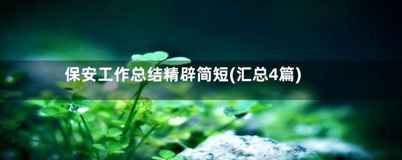 保安工作总结精辟简短(汇总4篇)