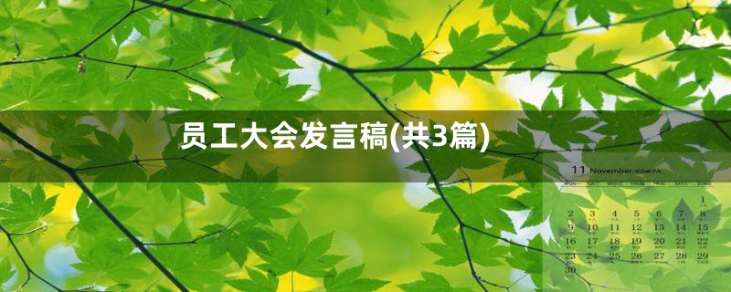 员工大会发言稿(共3篇)