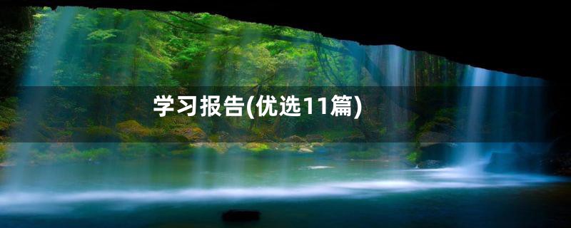 学习报告(优选11篇)