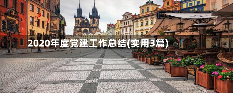 2020年度党建工作总结(实用3篇)