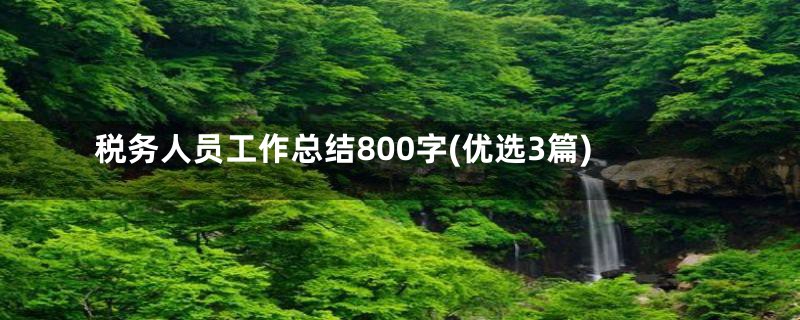 税务人员工作总结800字(优选3篇)