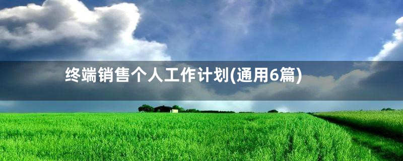终端销售个人工作计划(通用6篇)