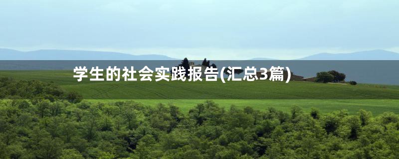 学生的社会实践报告(汇总3篇)