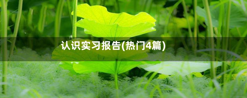 认识实习报告(热门4篇)