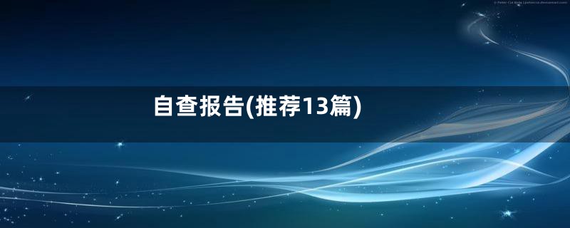 自查报告(推荐13篇)