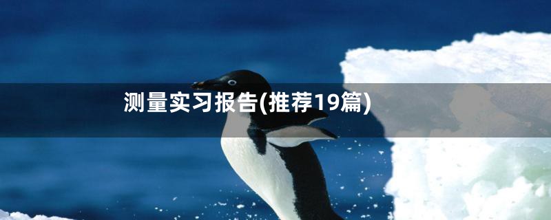 测量实习报告(推荐19篇)