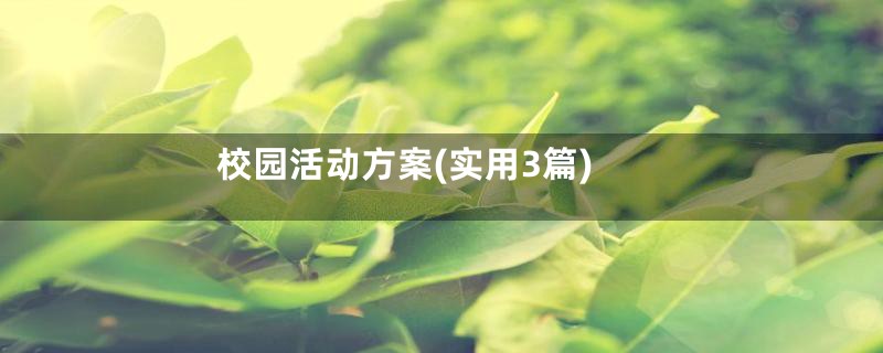 校园活动方案(实用3篇)