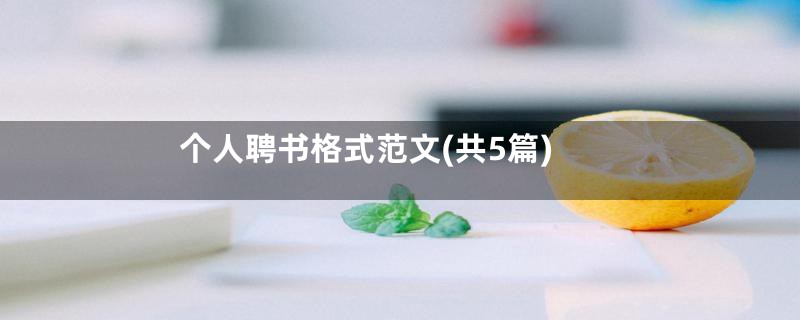 个人聘书格式范文(共5篇)