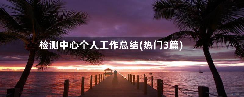 检测中心个人工作总结(热门3篇)