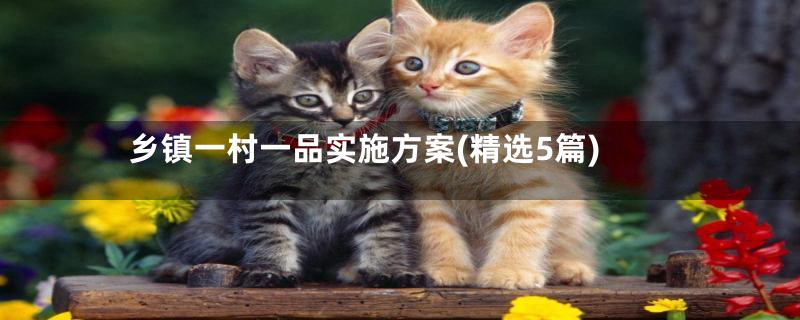 乡镇一村一品实施方案(精选5篇)