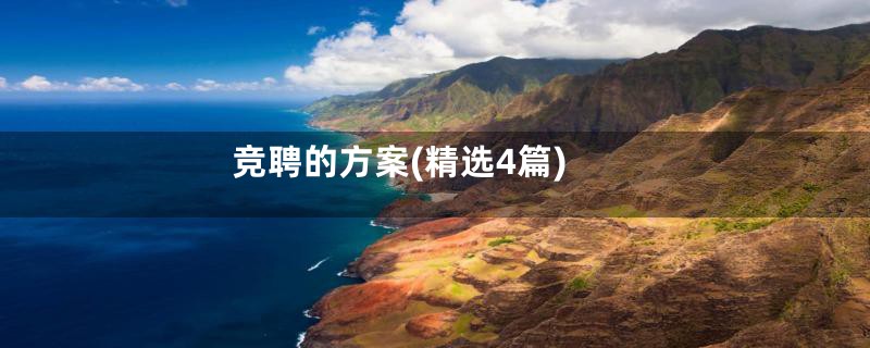 竞聘的方案(精选4篇)