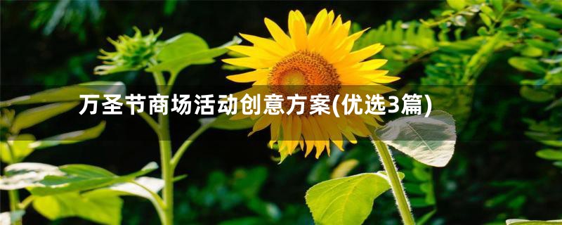 万圣节商场活动创意方案(优选3篇)